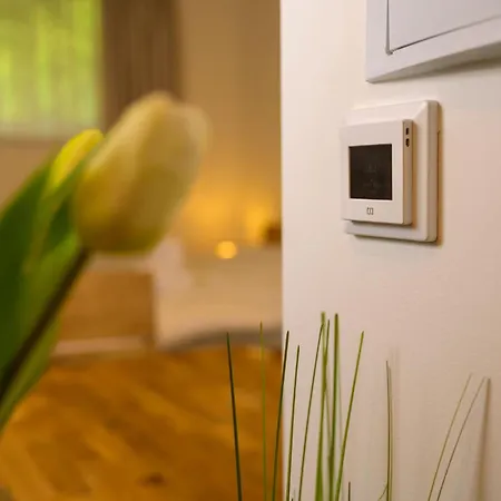 Lägenhet Dvouluzkove Studio V Prizemi S Kuchyni, Koupelnou A Sklepem *